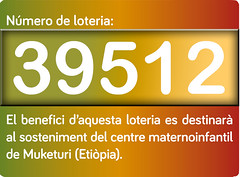 afne-plafon-loteria retallat 2013