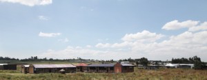 Centre Maternoinfantil