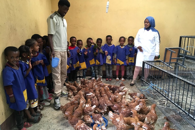 AFNE_gallines-_Muketuri_web