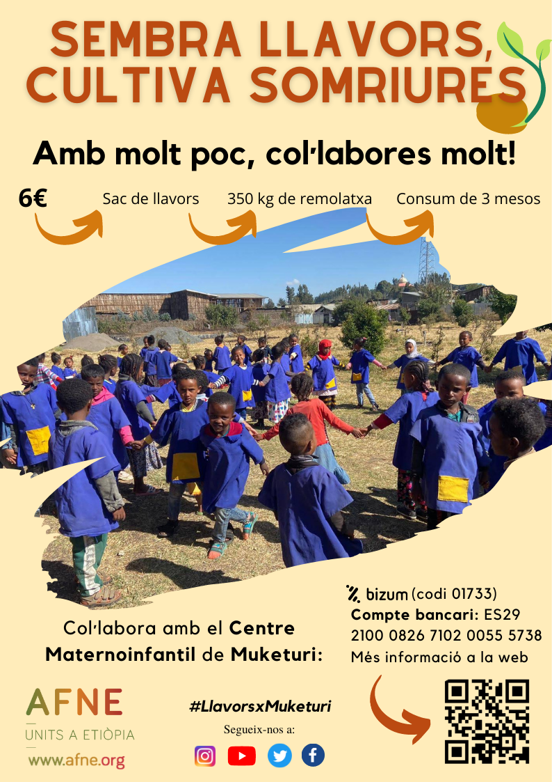 Campanya-Nadal-Llavors-2021-2